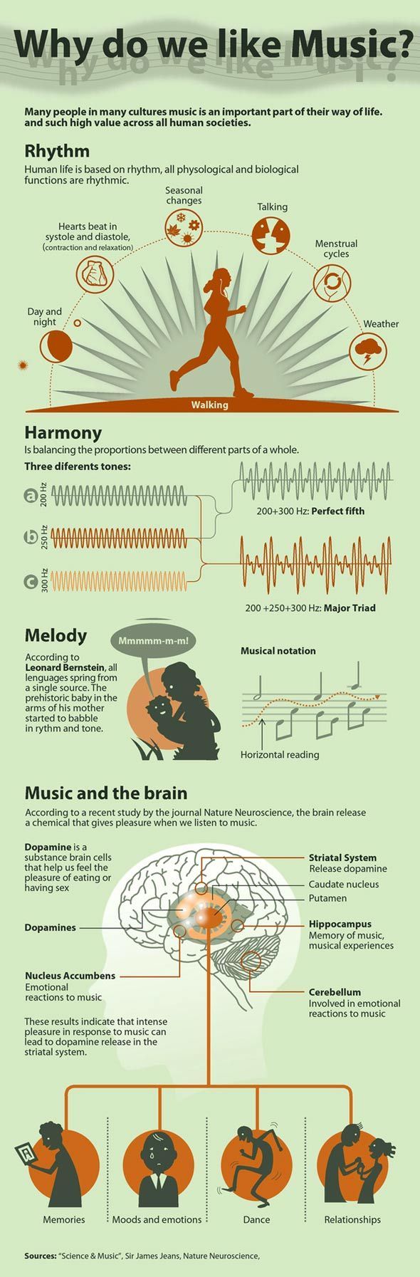Why Do We Like Music? Because music
