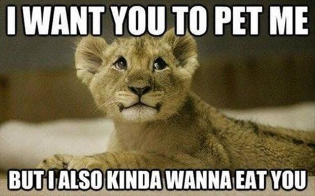 30 Funny animal captions – part 14