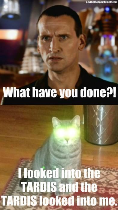 Doctor Who and Cats togethe