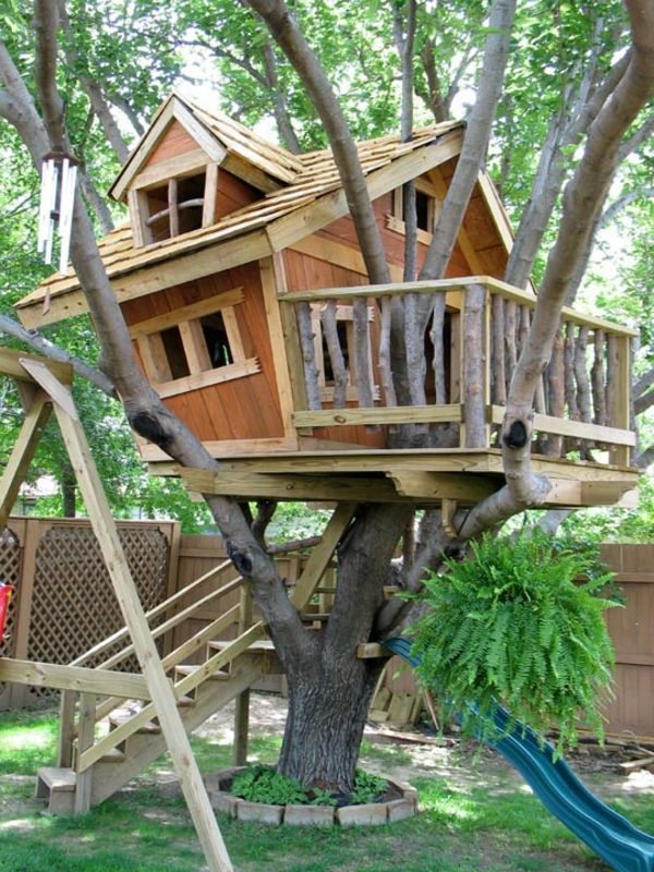 ideas for the tree forts