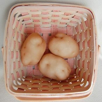 pantyhose potatoes – play f