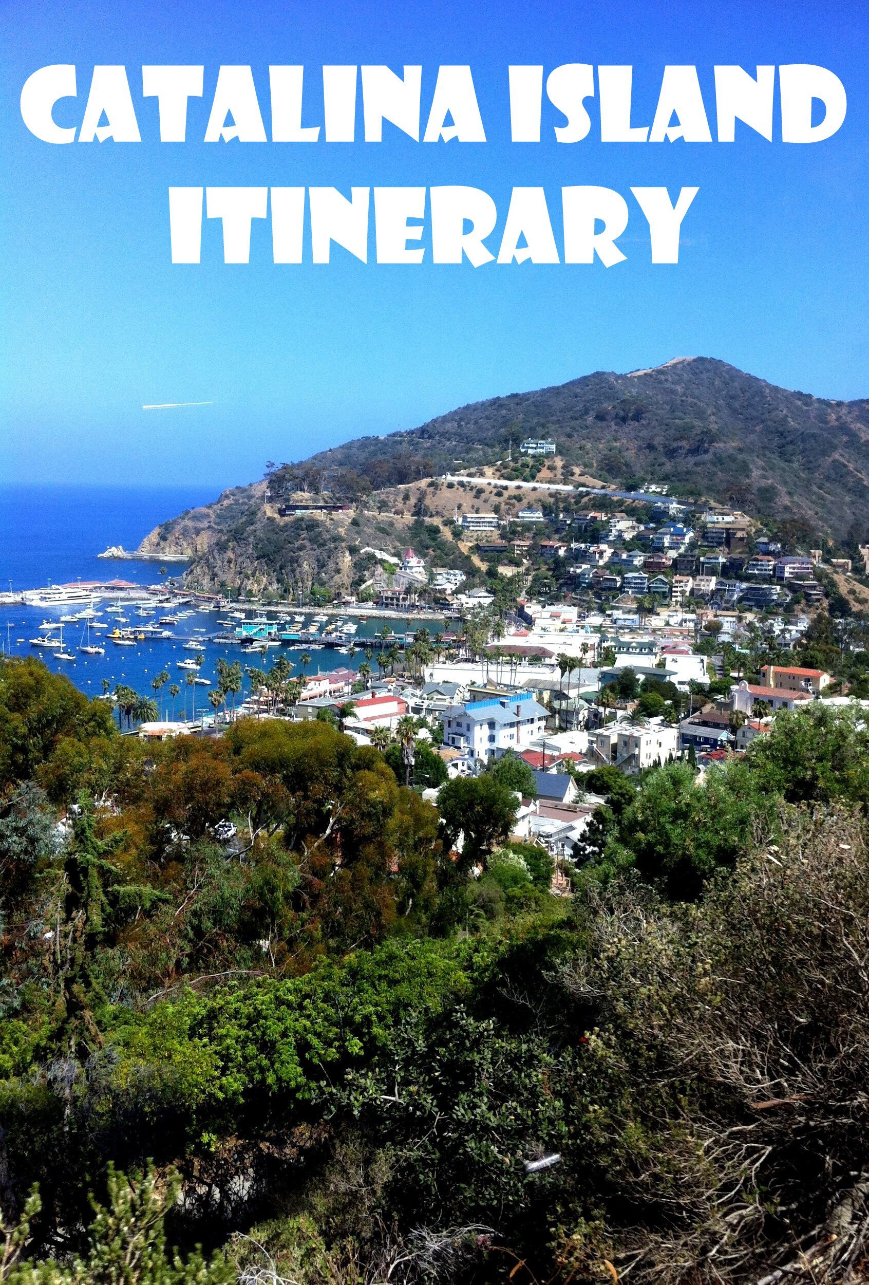 Planning a trip to Catalina Island?