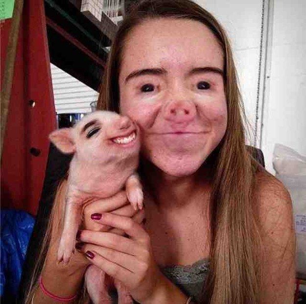 The Piglet: | 26 Face Swaps