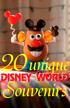 20 unique Disney World souv