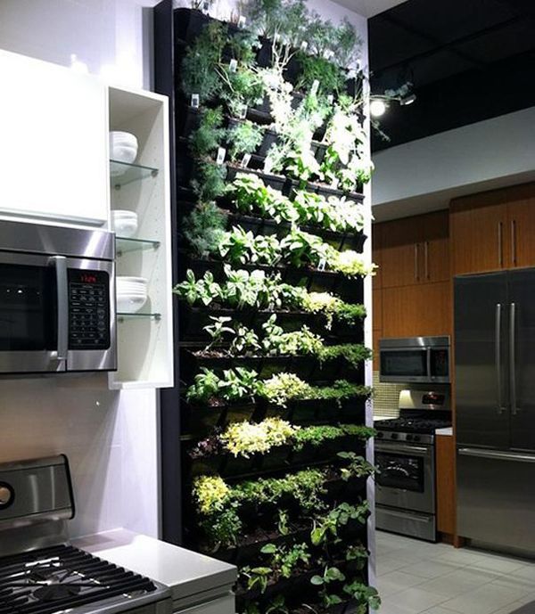 8. An indoor herb garden for your kitchen (from My House Feels So Boring After Seeing These 33 Awesome