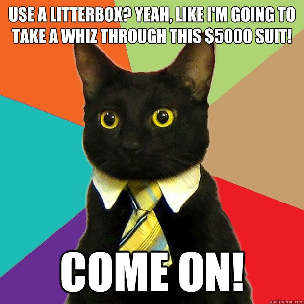 Use A Litterbox? Cat Meme -   Cat Litter Box Organization