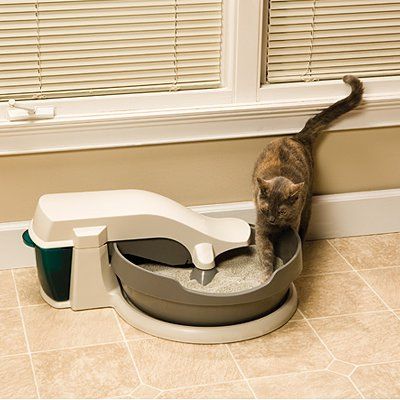 Covered boxes prevent litter scattering. Covers block the view so cats ... -   Cat Litter Box Organization