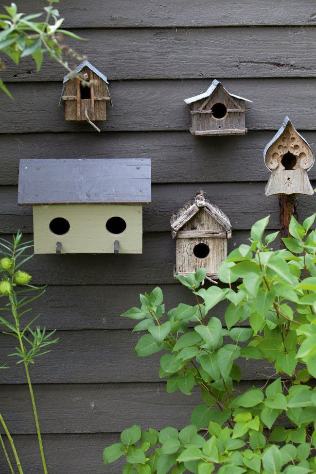 Bird houses on the garden s