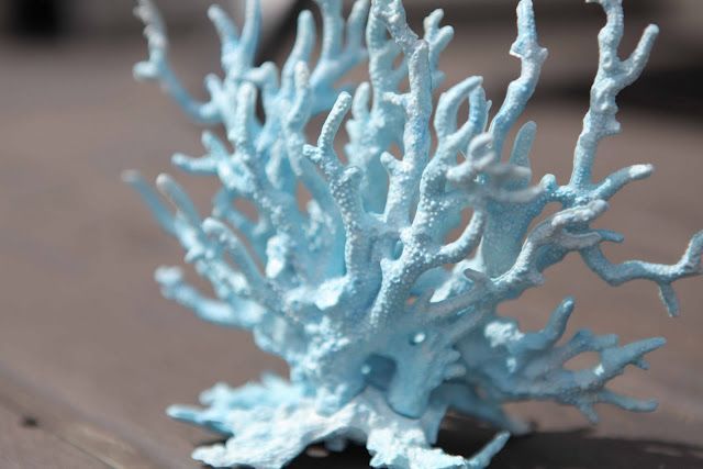 Buy some cheap aquarium coral from wal mart and spray paint to add some beachy flair to your