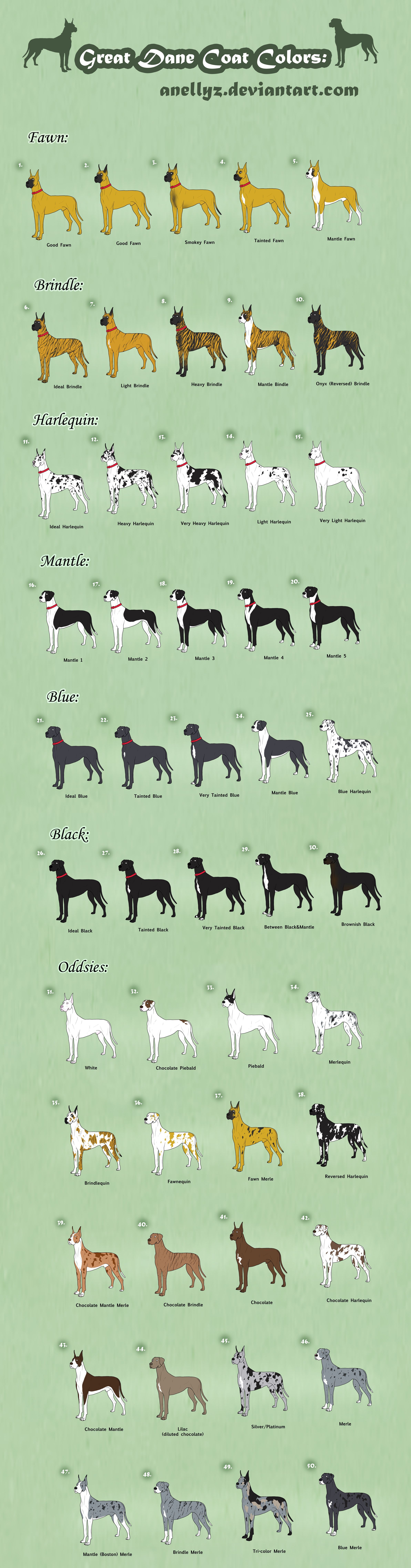 Great Dane Coat Colors – Adoptables (closed) by ~Anellyz on