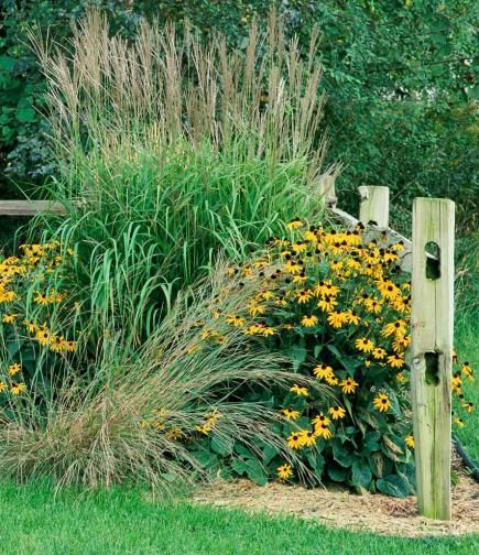 How to Use Ornamental Grass
