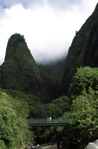 Iao Valley State Park, Maui:  Botanical