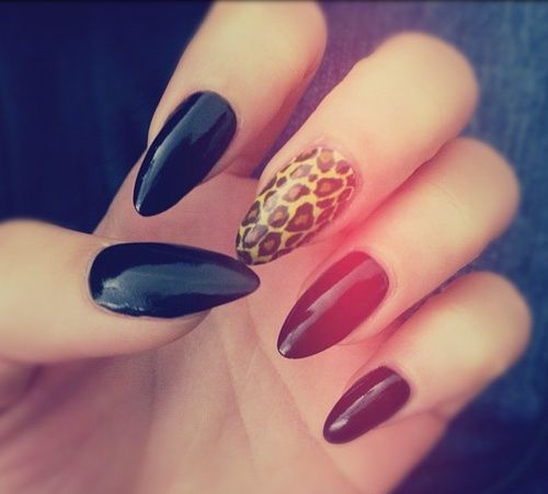 leopard stilleto nails tumblr | stiletto nails black and