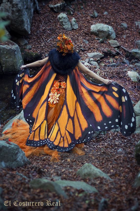 Monarch Butterfly cape cloa