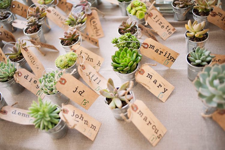 Succulent Placecards   Hold