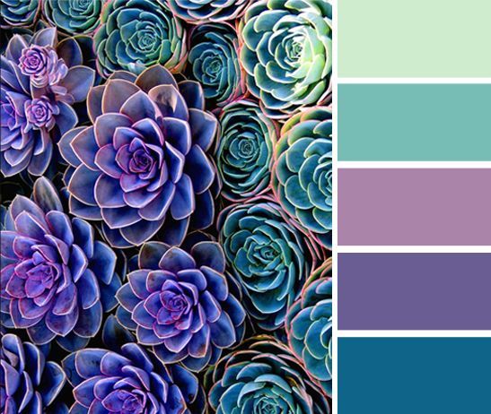Succulents color palette (g