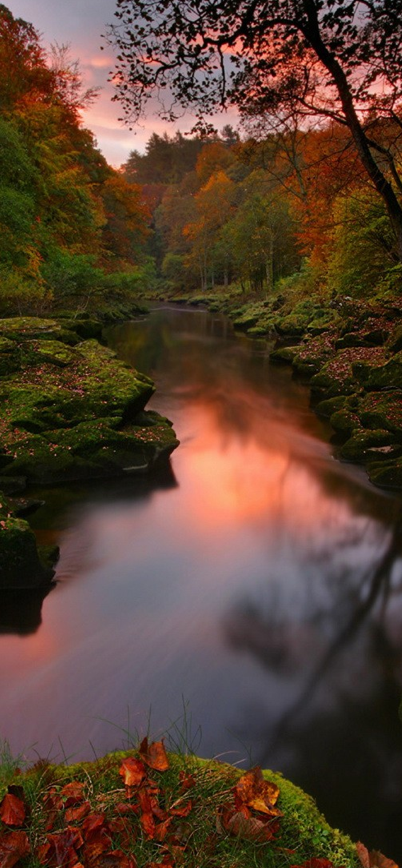 The Strid narrows of the River Wharfe at Bolton Abbey in the Yorkshire Dales, United Kingdom  Note: reworked but pretty image of the normally turbulent
