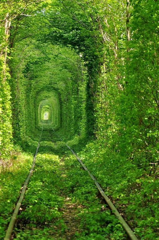 The Tunnel of Love in Ukrai