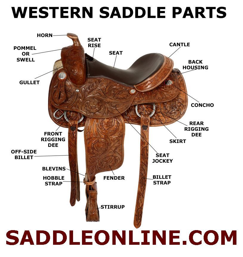Western saddles have a number of different parts that make the saddle both functional and effective. It is important for riders to know the parts of the saddle in order to determine the correct saddle