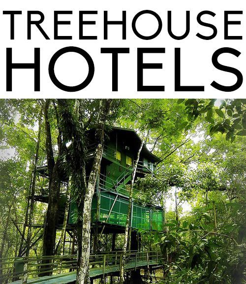 Where to stay in a treehous
