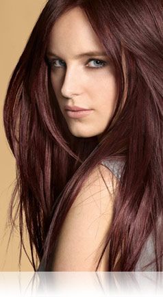 4R Radiant Red Dark Red Brown – Precision foam permanent colour shades | John Frieda I want to die my hair this color.