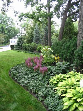 Astilbe, ligularia, gold standard hosta, pachysandra…..west side of backyard…..Informal Gardens – traditional – landscape – chicago – by Schmechtig