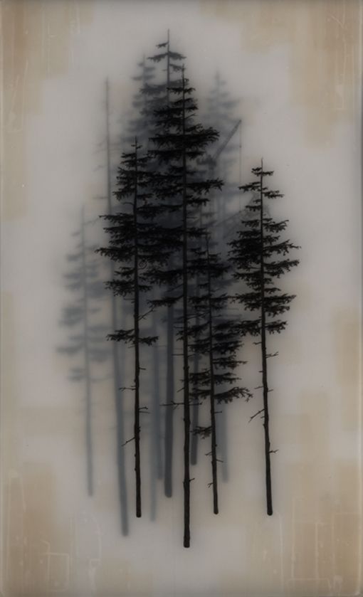 +  Brooks Salzwedels drawings are hand drawn graphite on Duralar cast in layers of resin. Color in the pieces are made by layers of transparent
