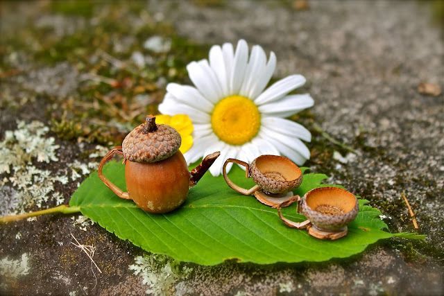 Cutest idea ever!  Make a fairy tea set out of acorns.  See how here…Twig and Toadstool: Fairies For