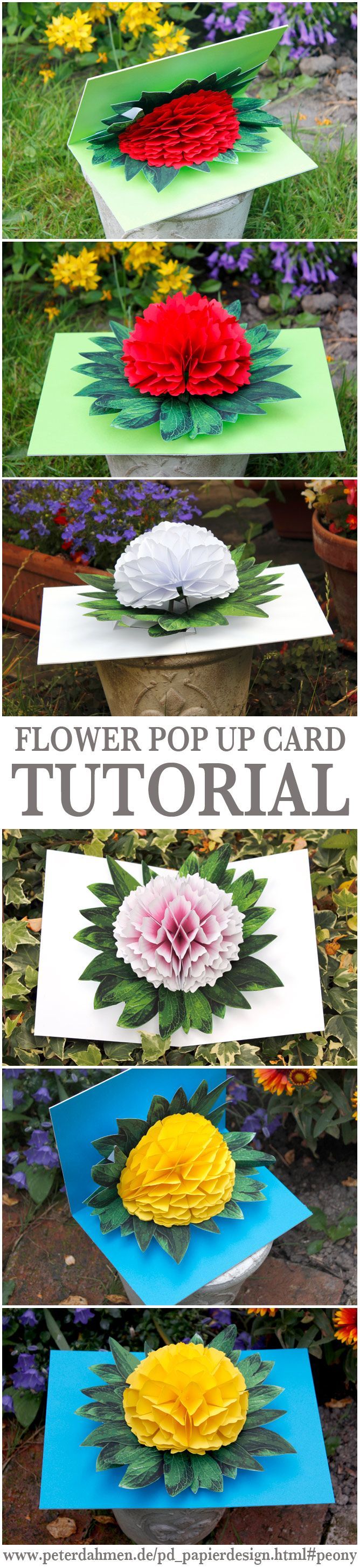 Flower Pop Up Card Tutorial by Peter Dahmen (just click on the flower to go to the