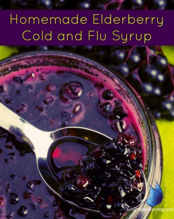 Homemade Elderberry Syrup- for colds & the