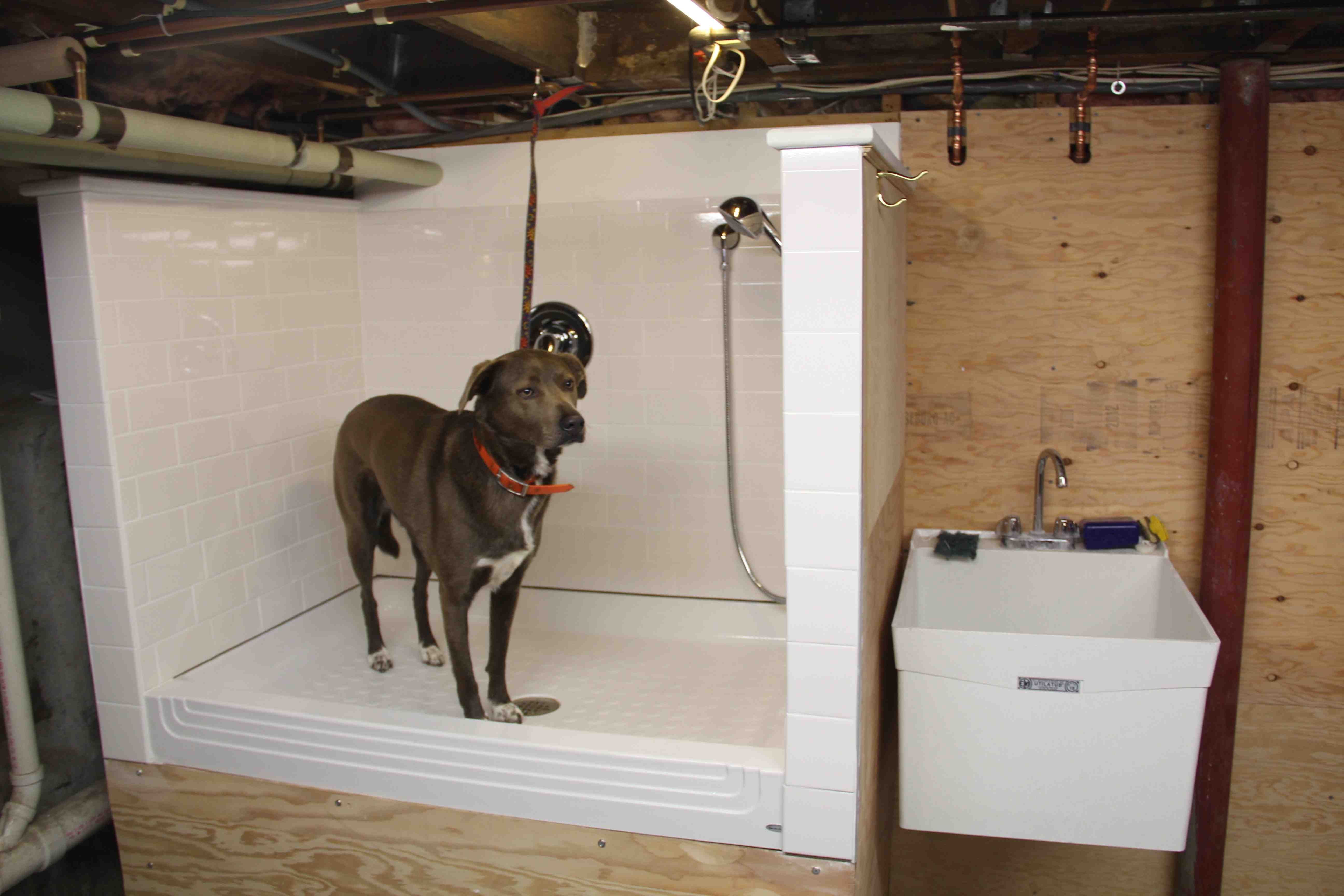 How To Build A Dog Wash Sta
