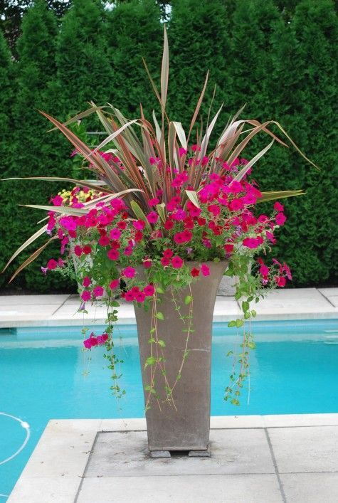 I need this by my pool to add pop of color.  This link will lead you to other container