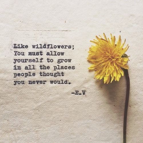 “Like wildflowers; you must allow yourself to grow in all the places people thought you never