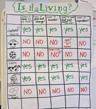 Living vs Nonliving?