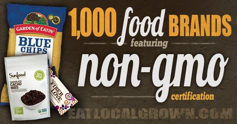 Looking for NON-GMO Food? Heres a list of 1000 different companies with NON-GMO products. If youre concerned about GMO food youll want to bookmark this