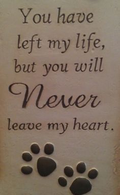 #Love your #dog