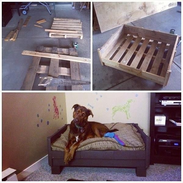 Make it reclaimed by following the wise instructions and soon you will find a serene bed for your pet. We have given here most useable and highly wanted inspirations for dog