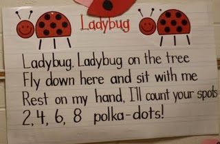makes me think of my Kylie everytime i see a ladybug makes me think that she is watching over us and there for us to remember