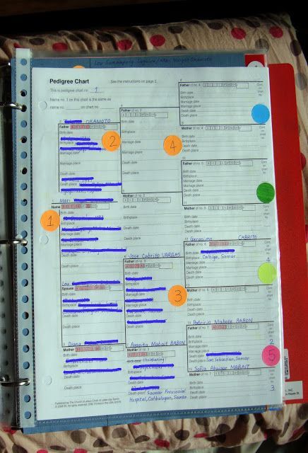 Organizing genealogy – best organization ideas i have found yet!  JAC: look for ideas to pull over to mechanized
