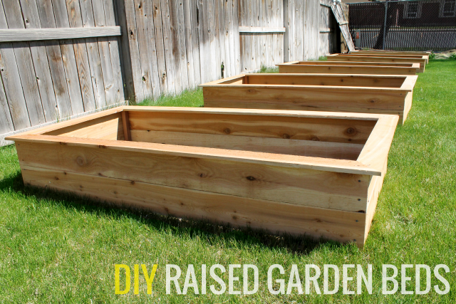 Our DIY Raised Garden Beds.