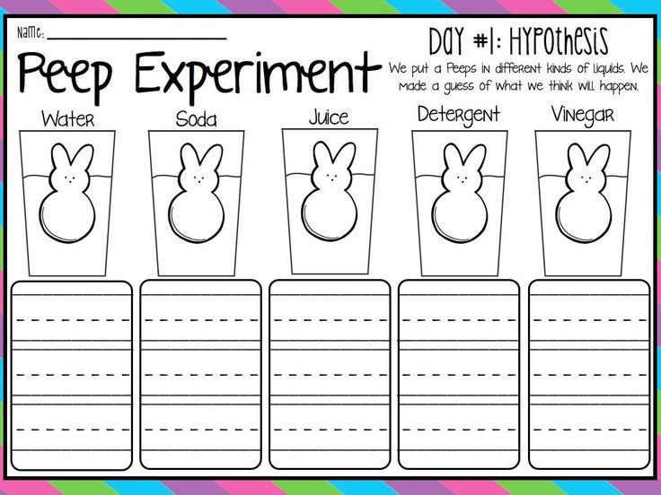 Peep Experiment – Springtime Unit Plan