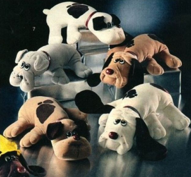 Pound Puppies!!!! I had to save them all but I didnt like pound kitties. They could
