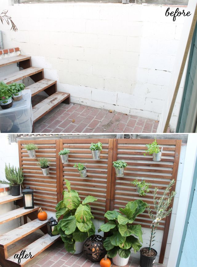 Quick and easy patio garden