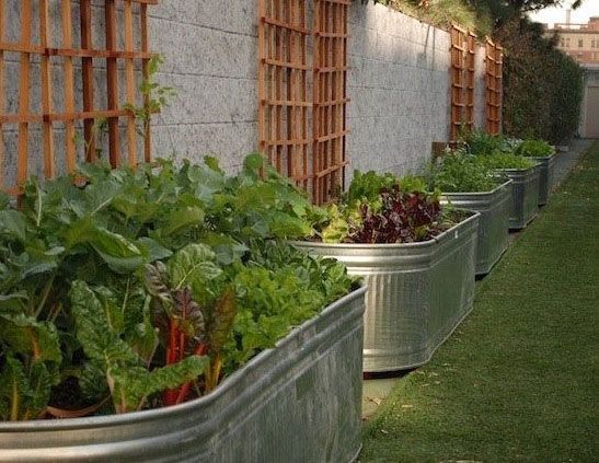 Raised garden beds have many advantages, ranging from saving wear and tear on your back to giving your plants better air circulation and more sunlight. However, you dont have to nail lengths of