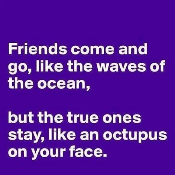 So very true…. I wish I had at least one or two octopus