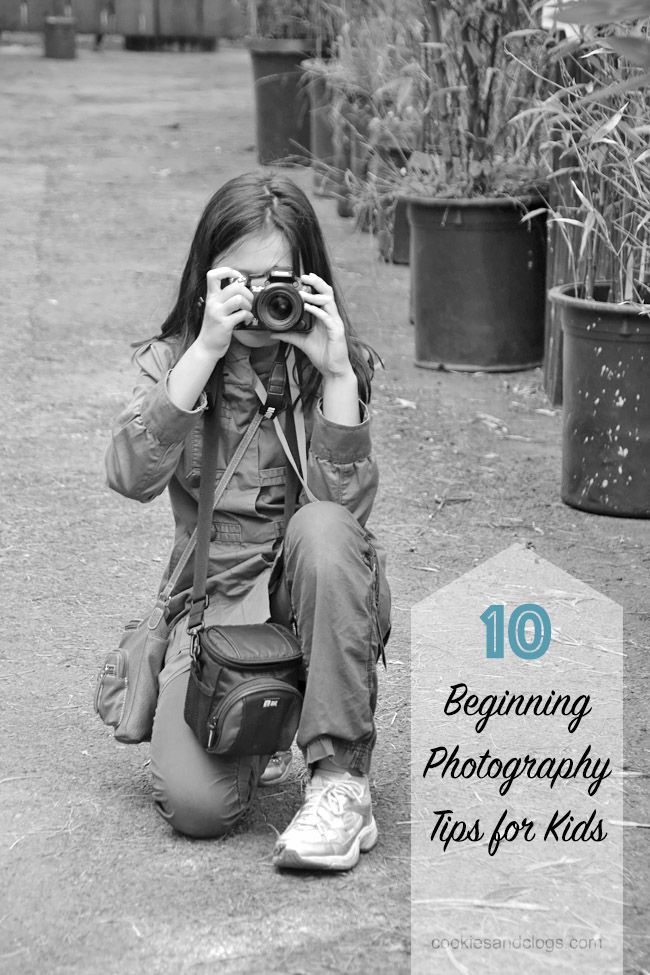 These ten beginning photogr