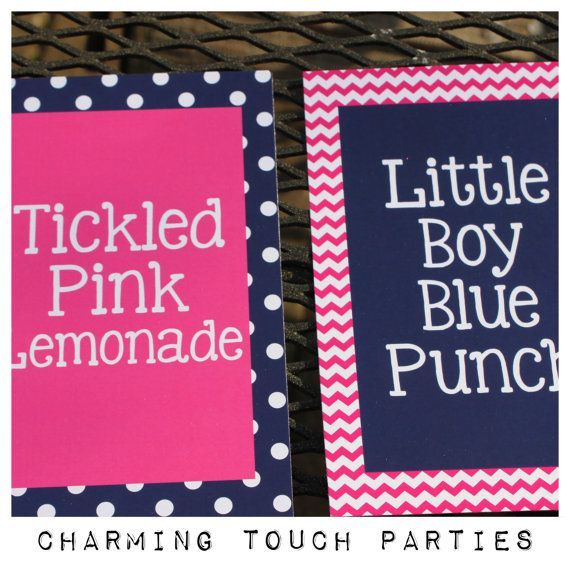 Two 5×7 Gender Reveal party signs You by CharmingTouchParties,