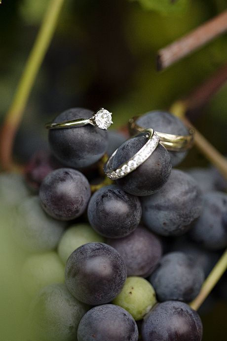 vineyard wedding ring shot. Love how they incorporated something from the natural setting to make the ring shot more