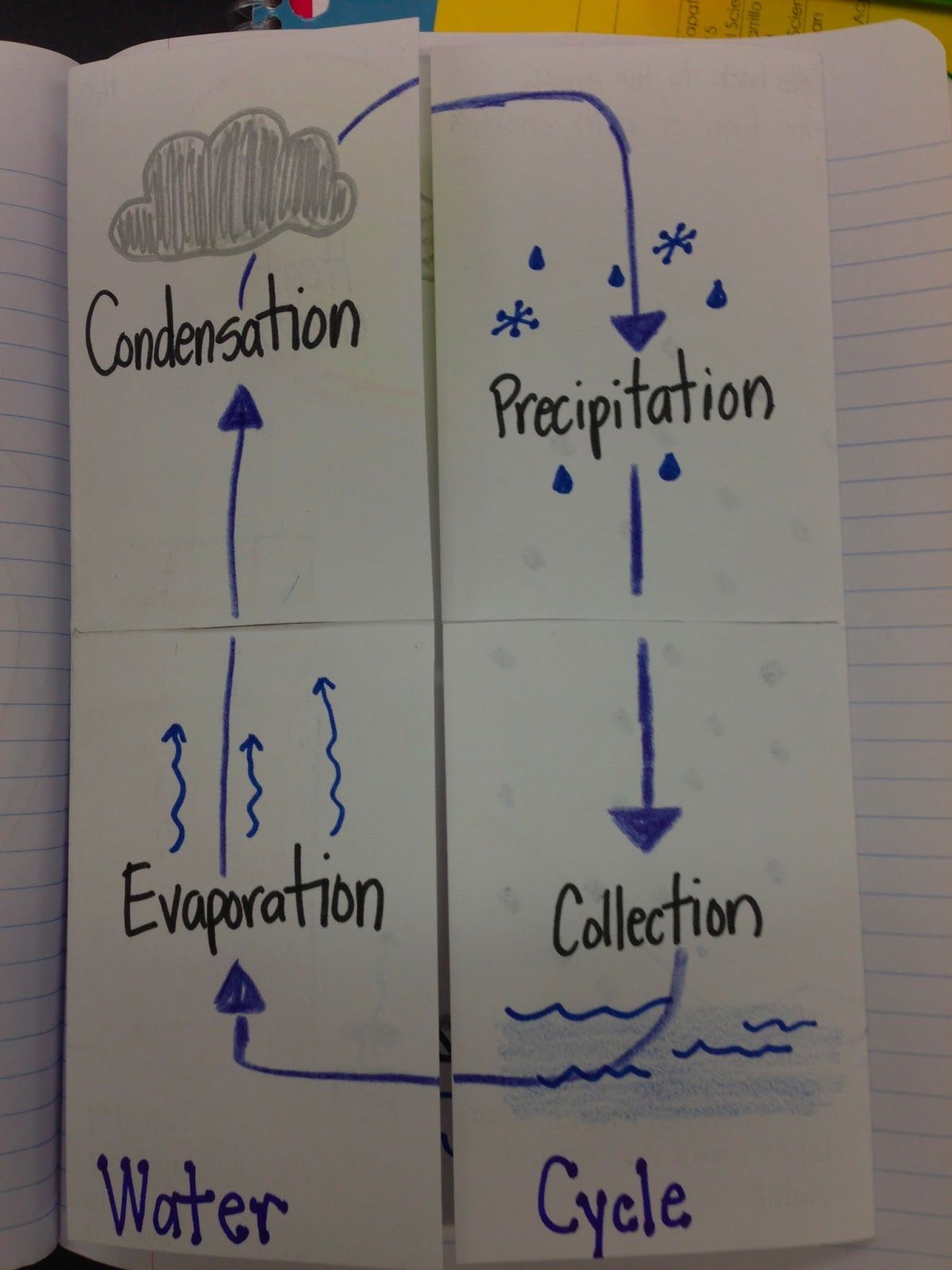 Water Cycle Foldable | Ever