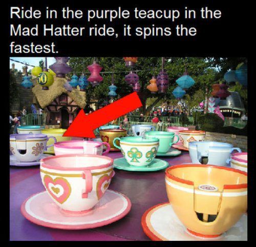 10 Random facts about Disney Parks… (10